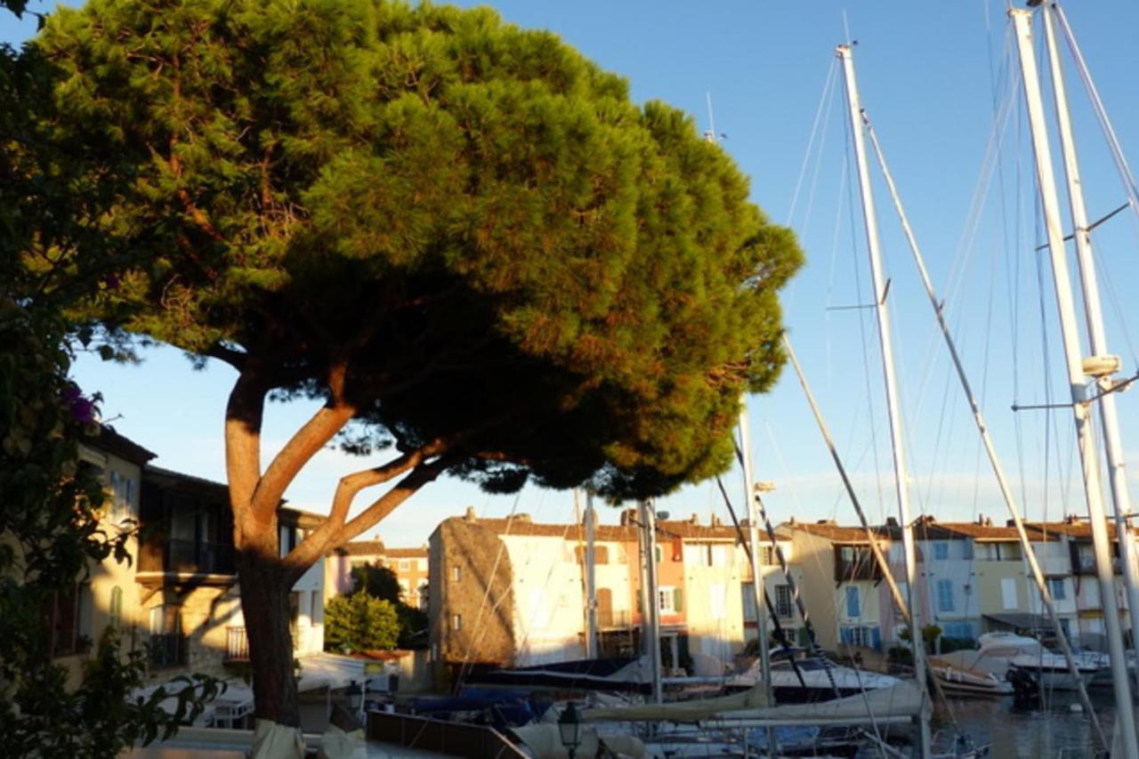 Charming Apartment Overlooking The Lake City Grimaud Eksteriør billede